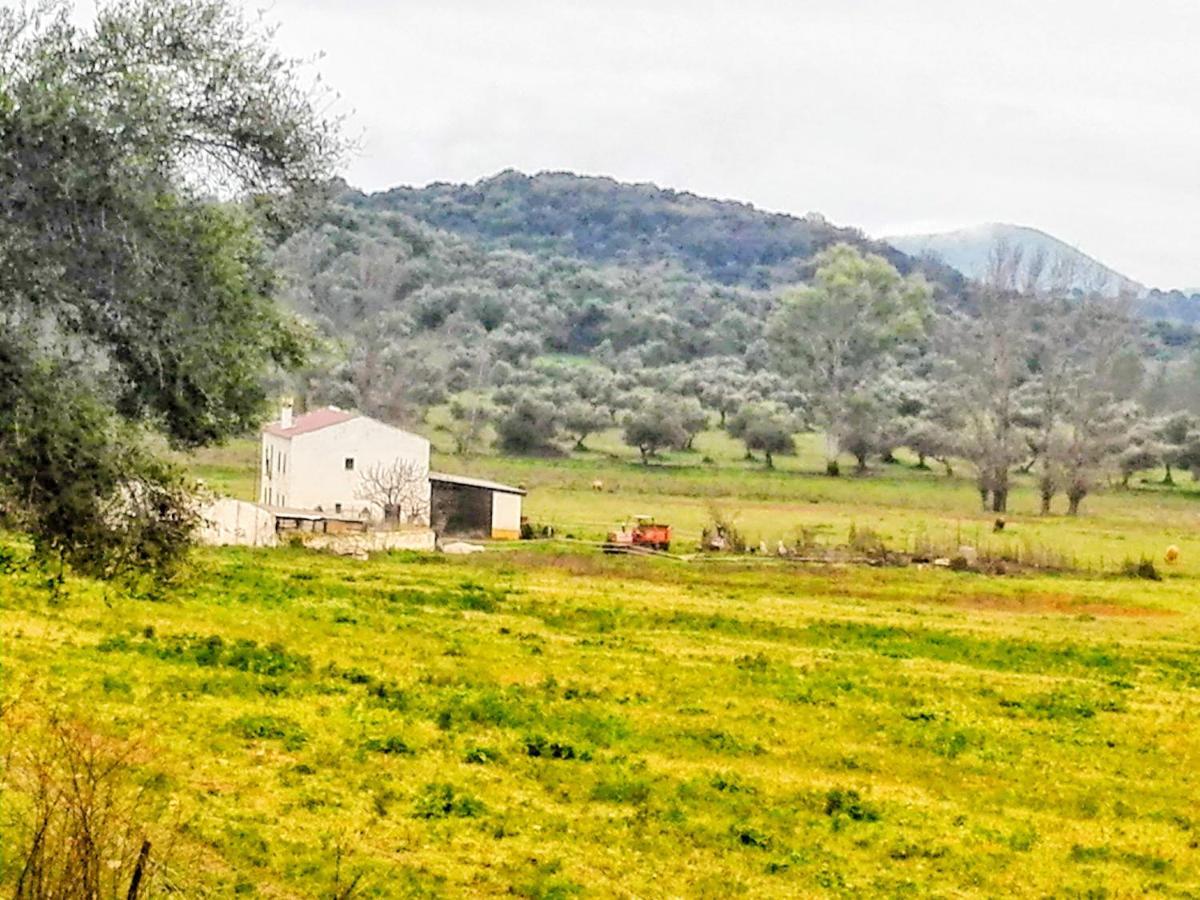 El Antiguo Molino Pension El Bosque Buitenkant foto