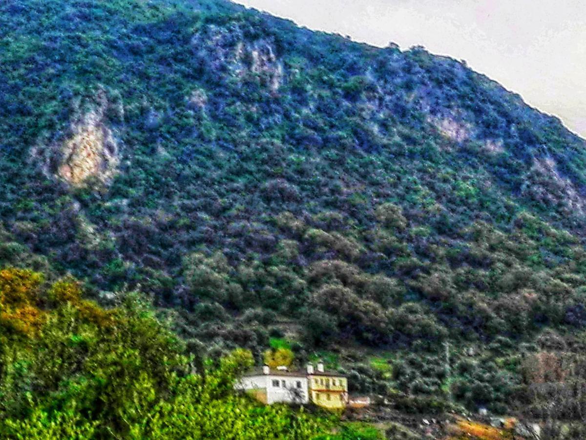 El Antiguo Molino Pension El Bosque Buitenkant foto